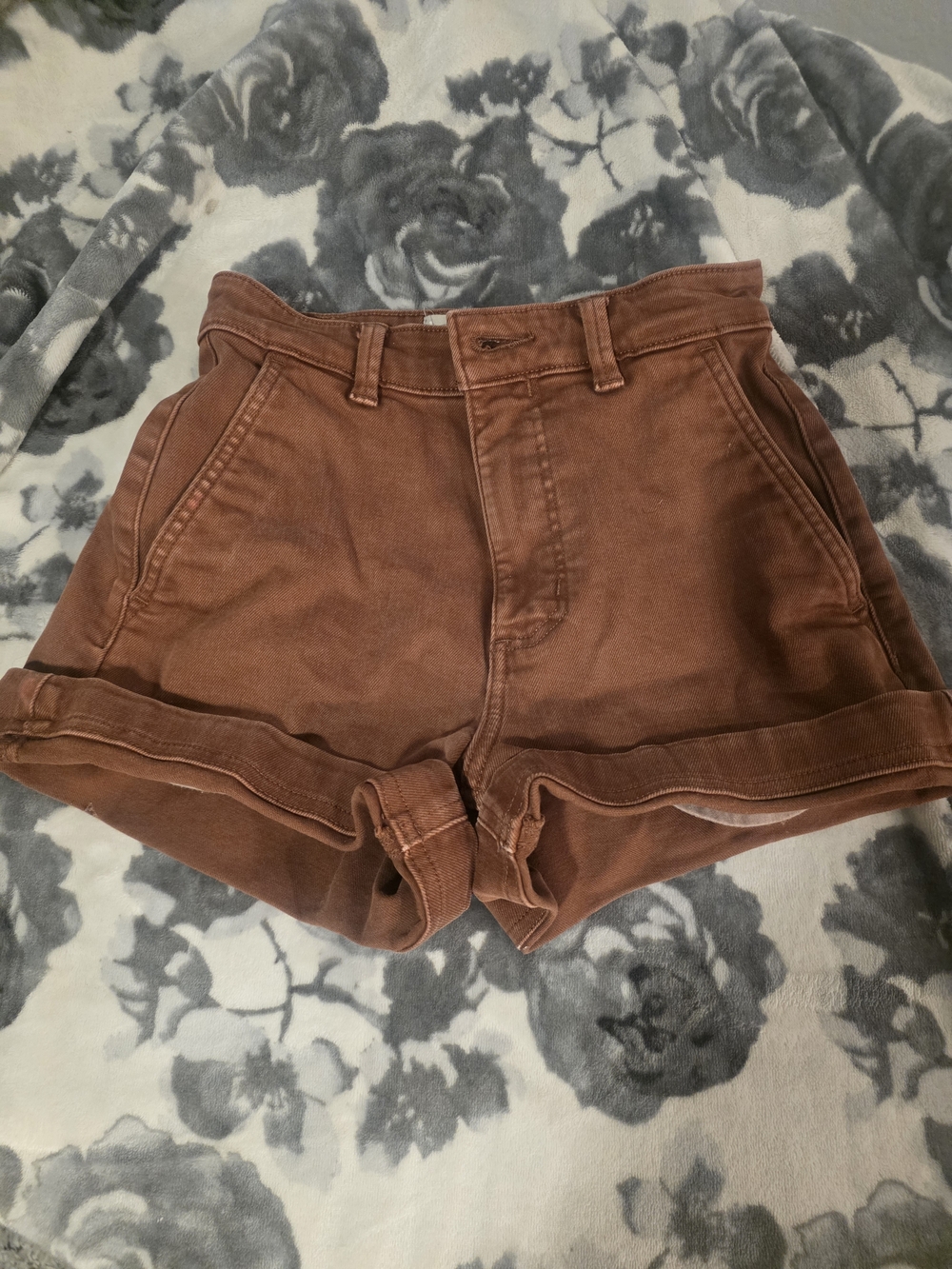 Everlane Shorts